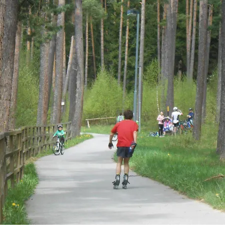 בית נופש Holiday Frymburk/lipno-stausee 1831 *